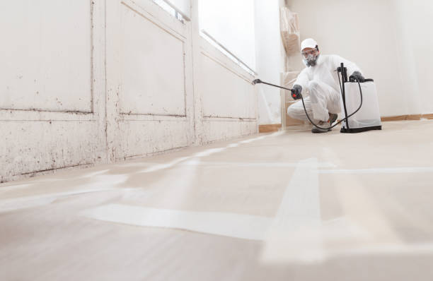 24/7 Emergency Mold Remediation experts in Springfield, CO